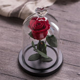 Eternal-rose-red-perfect-gift