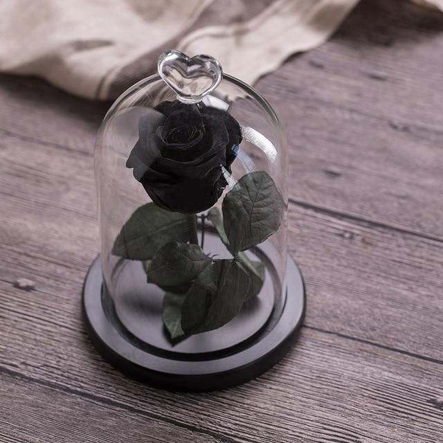 Eternal Rose Red perfect gift