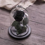 Eternal Rose Red perfect gift