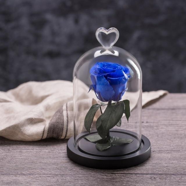 Eternal Rose Red perfect gift