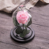 Eternal Rose Red perfect gift