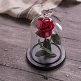 Eternal Rose Red perfect gift
