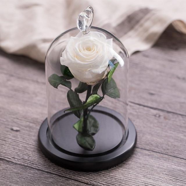 Eternal Rose Red perfect gift