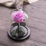 Eternal Rose Red perfect gift