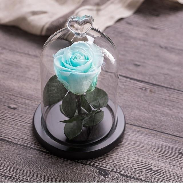 Eternal Rose Red perfect gift