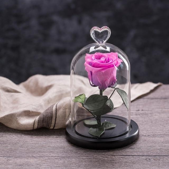 Eternal Rose Red perfect gift