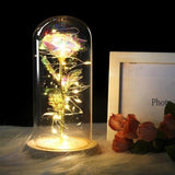 Timeless- Forever Red Rose In Glass Dome