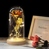 Timeless- Forever Red Rose In Glass Dome