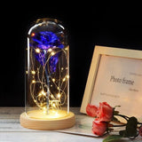 Timeless- Forever Red Rose In Glass Dome
