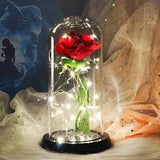 Timeless- Forever Red Rose In Glass Dome