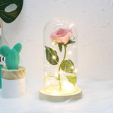 Timeless- Forever Red Rose In Glass Dome