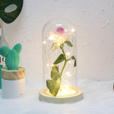 Timeless- Forever Red Rose In Glass Dome